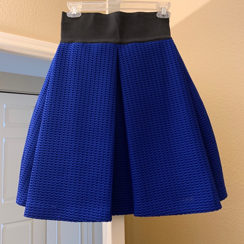 Magnificent Milly Blue Skirt